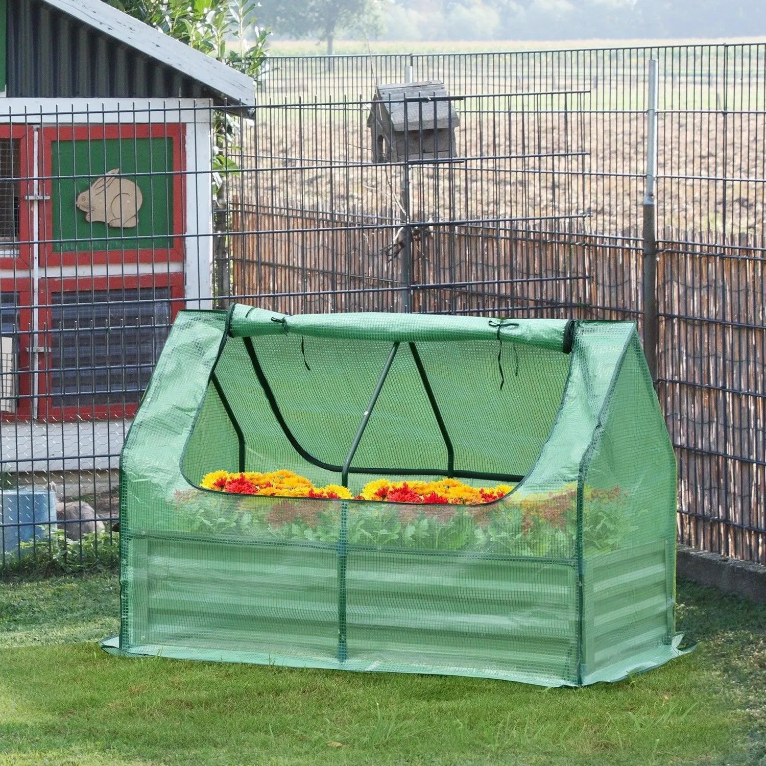 greenhouse-with-raised-garden-beds-945460